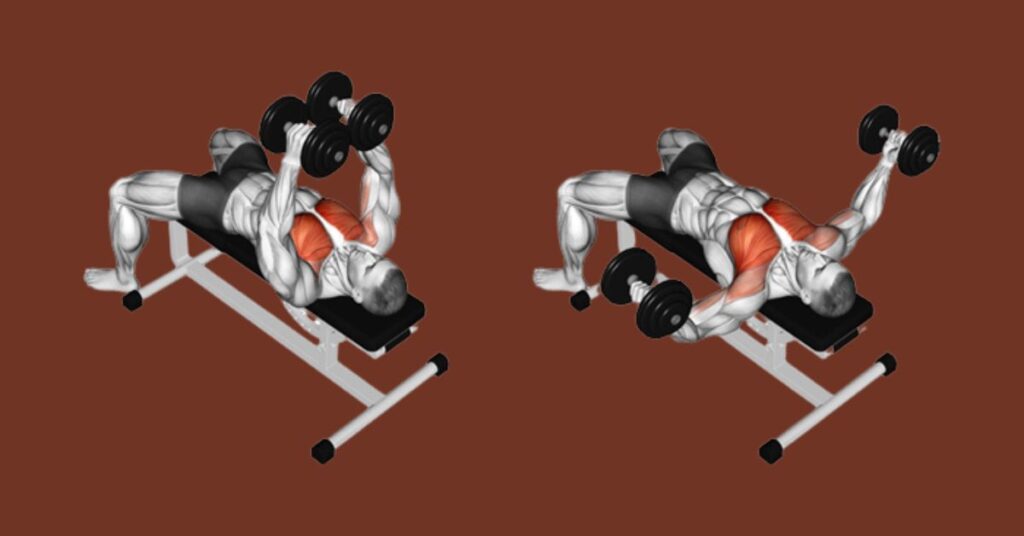 The Dumbbell Squeeze Press Working Muscles
