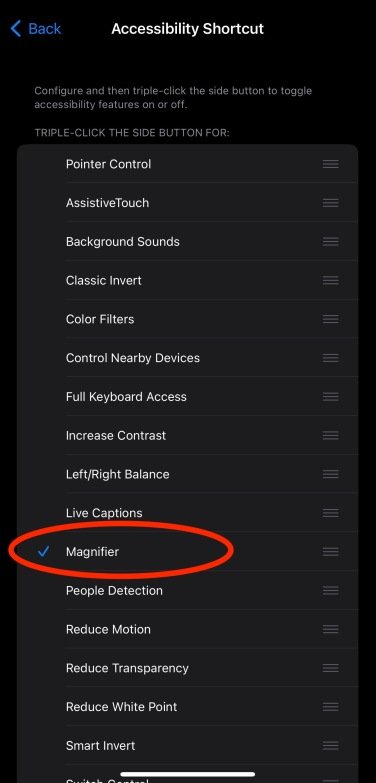 A screenshot of the accessibility shortcut options, with a red circle around the word "magnifier".