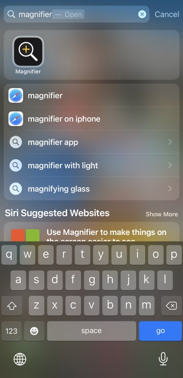 A screenshot of an iPhone spotlight search menu. The user has searched for "magnifier" int he search bar.