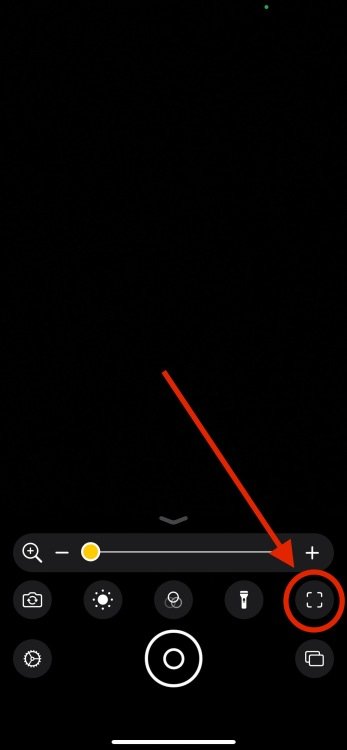A screenshot of the Magnifier app, with a red circle and red arrow pointing to the detection icon in the lower right corner.