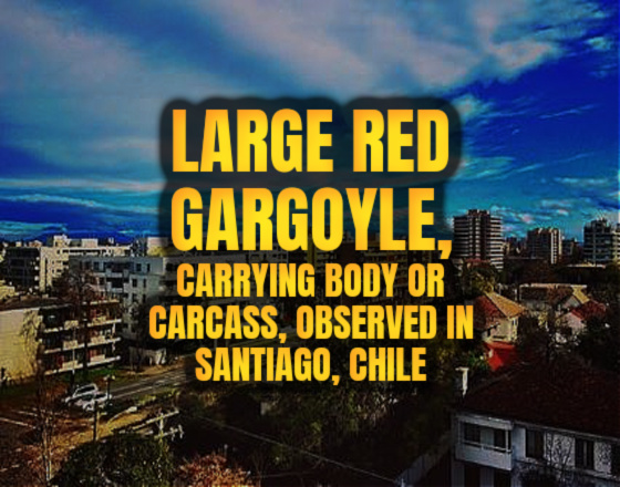 Large Red Gargoyle, Carrying Body or Carcass, Reported in Santiago, Chile!