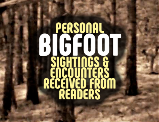 Personal Bigfoot Sightings & Encounters Received From Readers