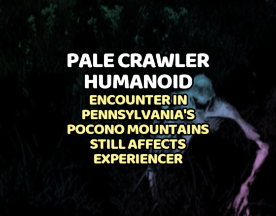 Pale Crawler Humanoid Encounter in Pennsylvania’s Pocono Mountains Still Affects Experiencer