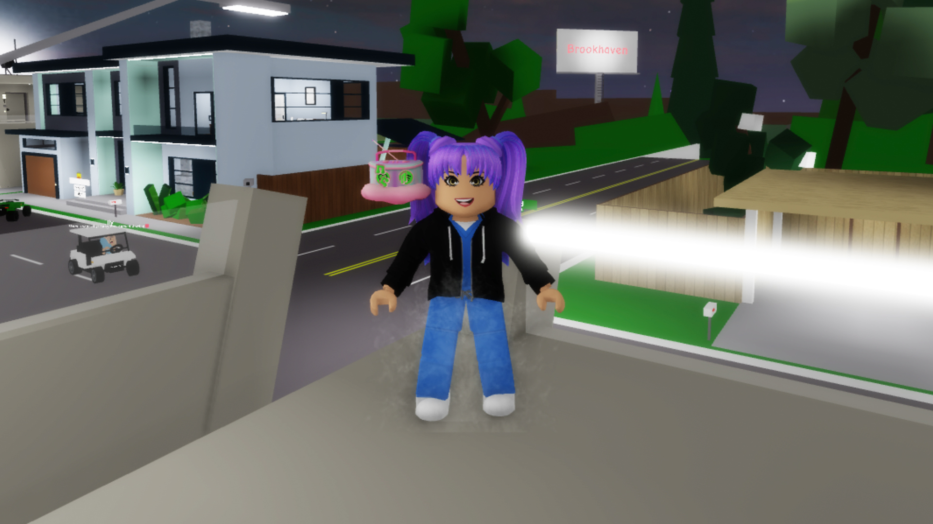 Roblox’s metaverse is overhyped, a new report suggests