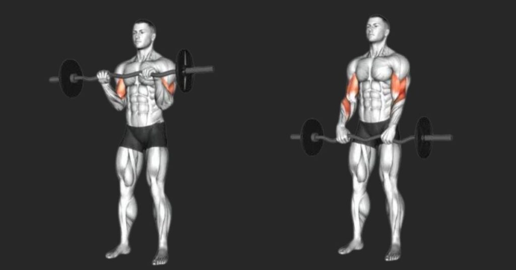 The Overhand Bicep Curl: Instructions, Benefits, Alternatives & Variations!