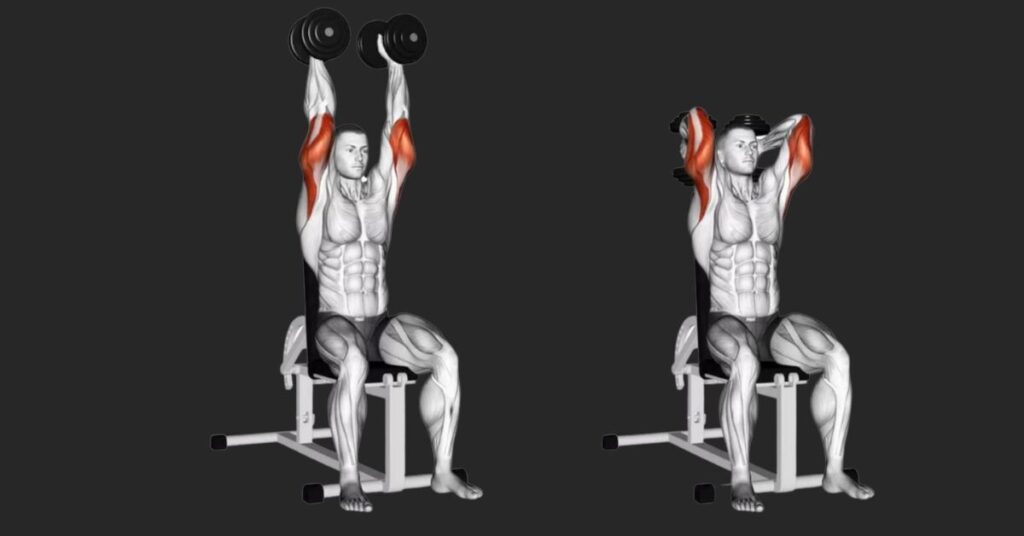 The Overhead Triceps Extension: Instructions, Benefits, Alternatives & Variations!