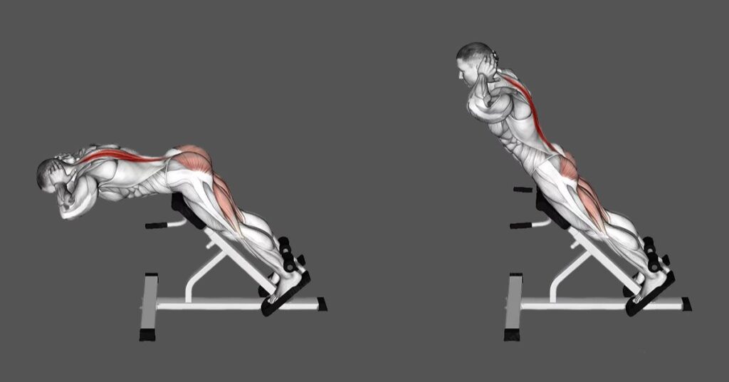 The Weighted Hyperextension: Instructions, Benefits, Alternatives & Variations!