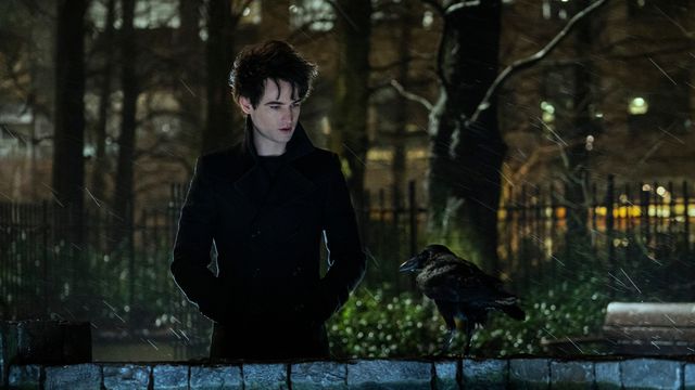 Dream stands in a park at night in front of his raven, Matthew