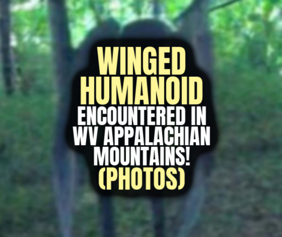 Winged Humanoid Encountered in WV Appalachian Mountains! (PHOTOS)