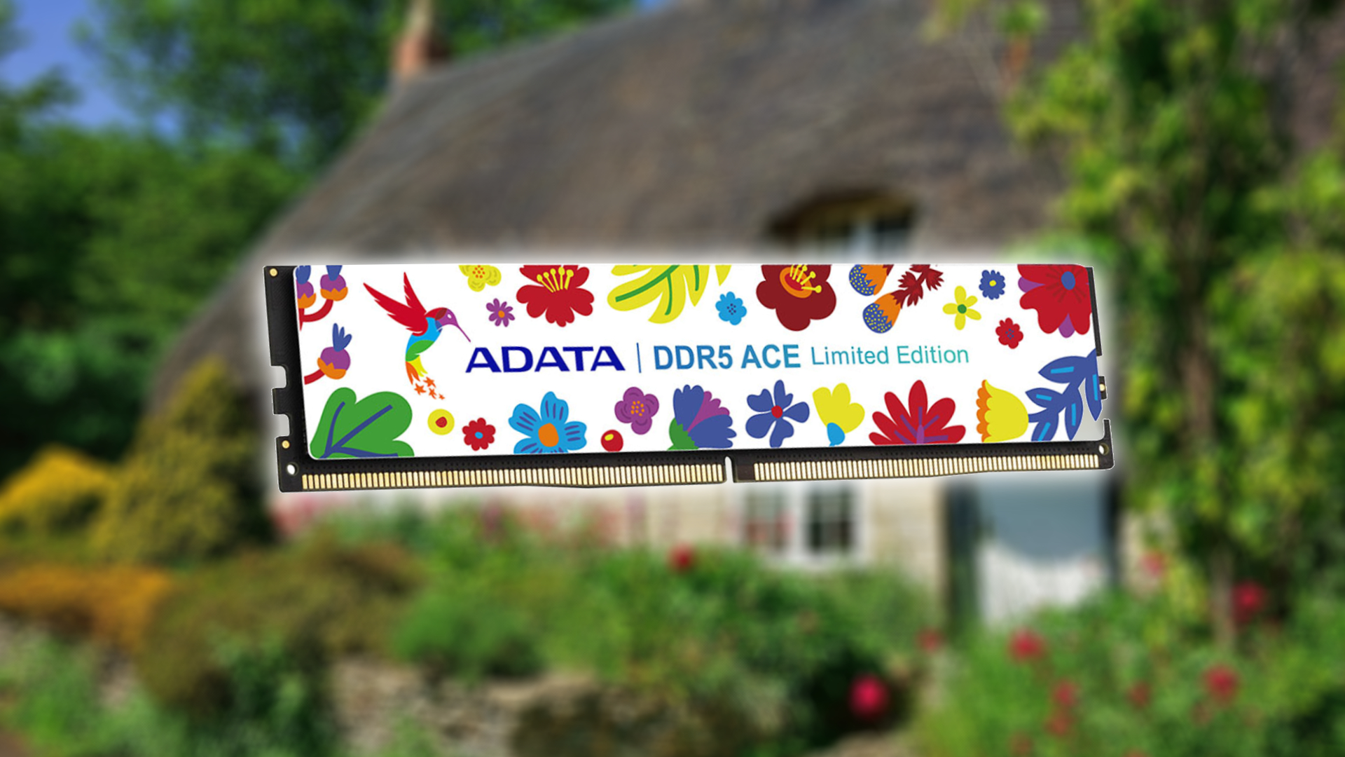 Adata just announced cottagecore DDR5 gaming RAM