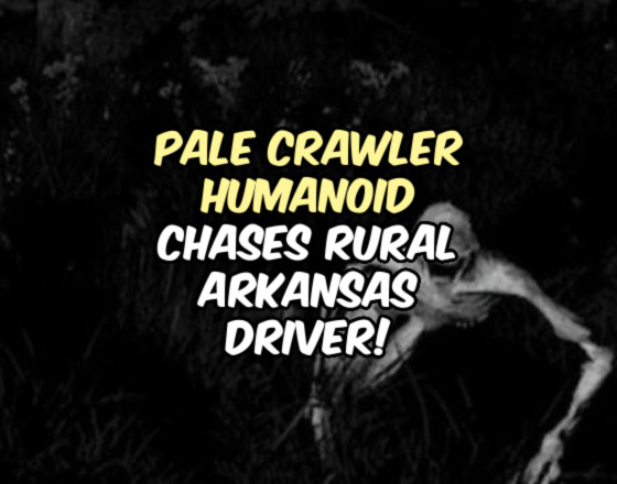Pale Crawler Humanoid Chases Rural Arkansas Driver!