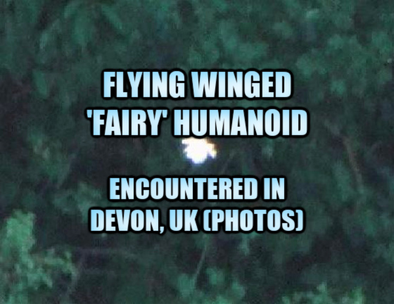 Flying Winged ‘Fairy’ Humanoid Encountered in Devon, UK (PHOTOS)