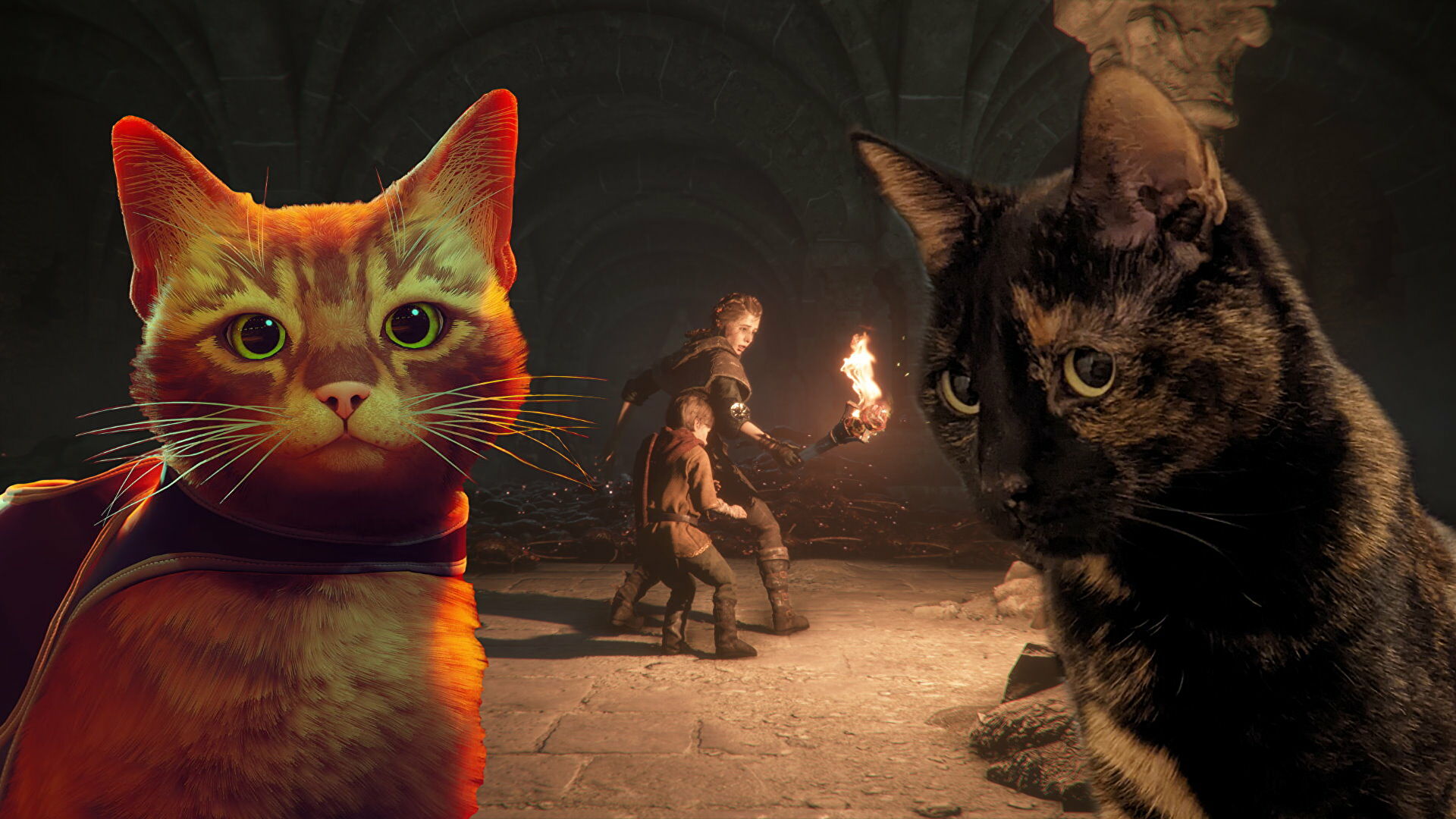 I think my cats hate video games, and I’m absolutely devastated