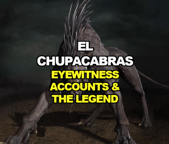 El Chupacabras Eyewitness Accounts & the Legend