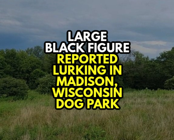 ‘Large Black Figure’ Reported Lurking in Madison, Wisconsin Dog Park