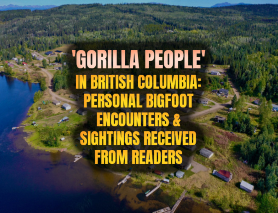 ‘Gorilla People” in BC: Personal Bigfoot Sightings & Encounters Received From Readers