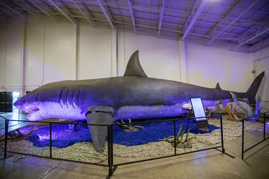 animatronic megalodon cordoned off in an exhibit