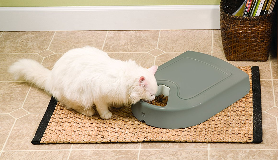 Petsafe automatic feeder with white cat eating