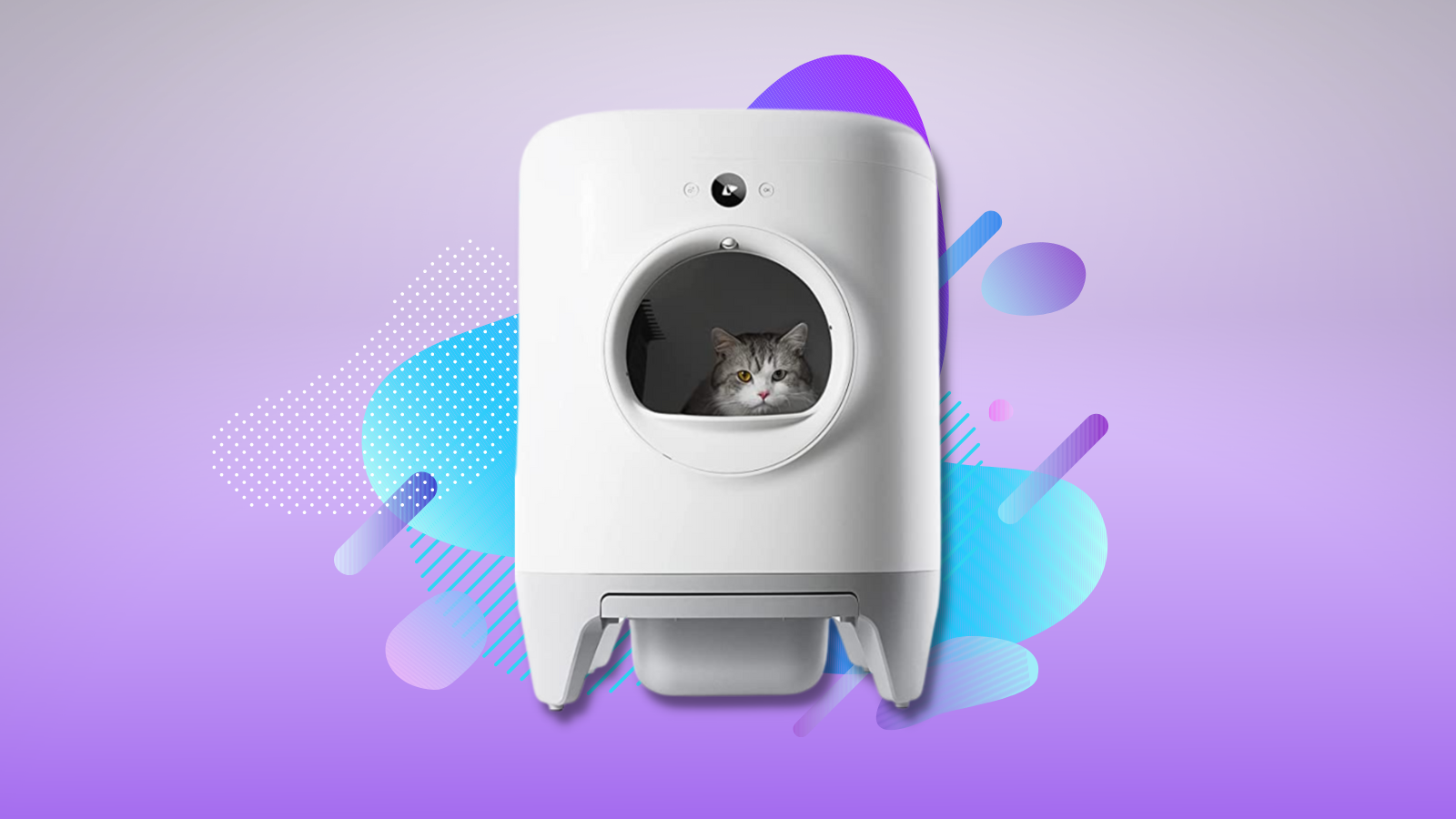 Stop scooping with this fancy self-cleaning litter box on sale