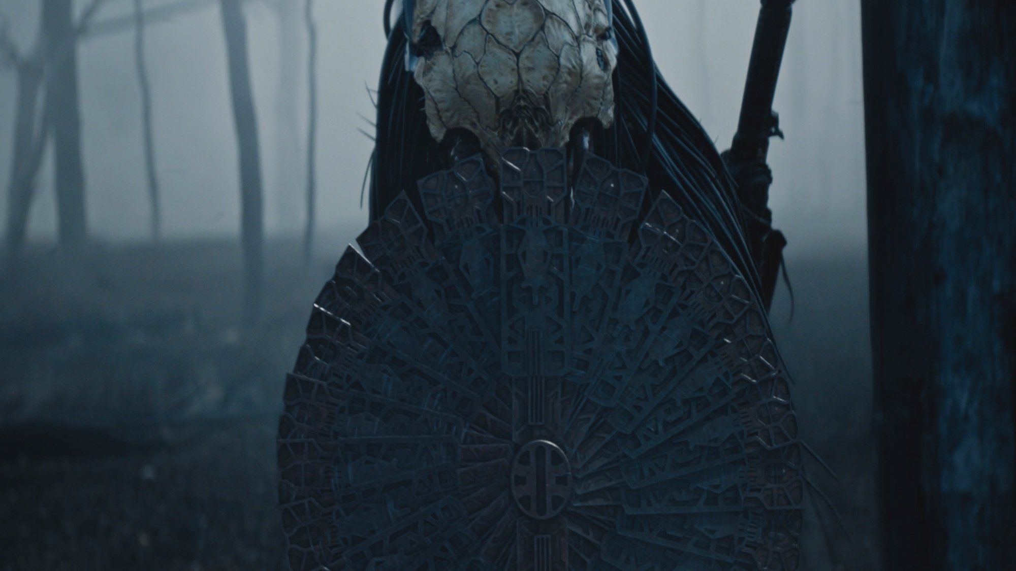 A humanoid alien with a white mask made of bone lifts up an ornate metal shield.