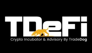 A Chat with Gaurav Dubey, CEO at Crypto Start-up Incubator: TDeFi