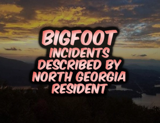 Bigfoot Incidents Described by North Georgia Resident