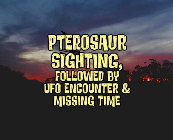 Pterosaur Sighting, Followed by UFO Encounter & Missing Time