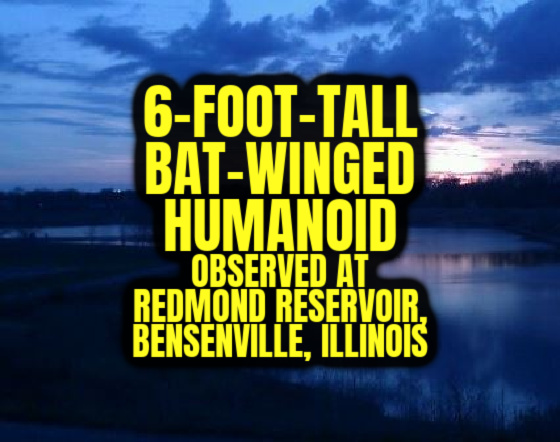 6-Foot-Tall, Bat-Winged Humanoid Observed at Redmond Reservoir, Bensenville, Illinois (150TH CONFIRMED SIGHTING!)