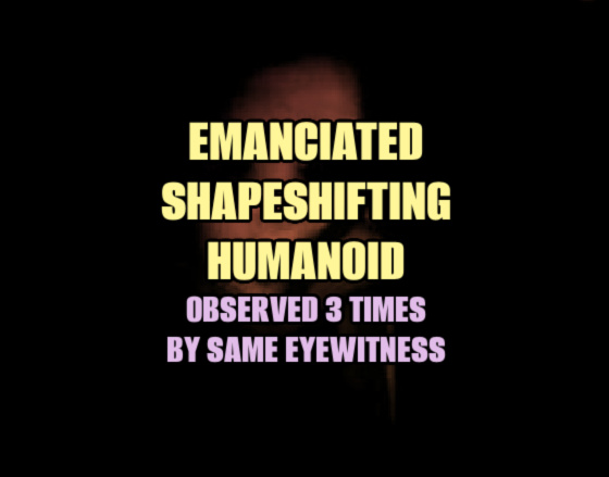 Emaciated Shapeshifting Humanoid Observed 3 Times by Same Eyewitness