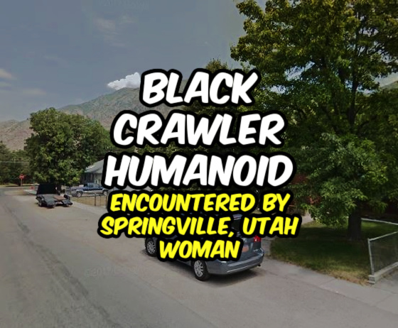 ‘Black Crawler Humanoid’ Encountered by Springville, Utah Woman