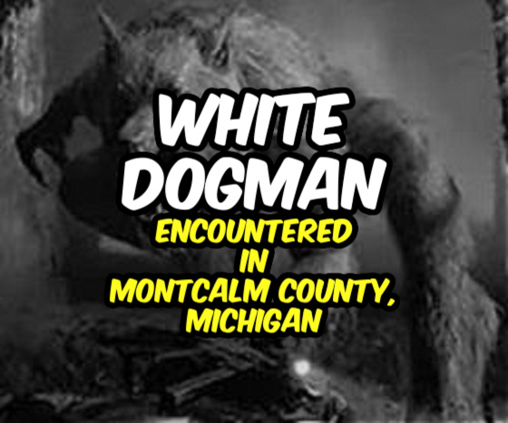 ‘White Dogman’ Encounter Reported in Montcalm County, Michigan