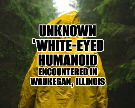 Unknown ‘White-Eyed’ Humanoid Encountered in Waukegan, Illinois