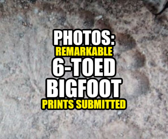 PHOTOS: Remarkable ‘6-Toed Bigfoot Prints’ Submitted