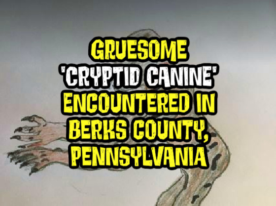 Gruesome ‘Cryptid Canine’ Encountered in Berks County, Pennsylvania (FULL REPORT)