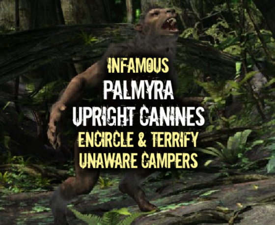 Infamous ‘Palmyra Upright Canines’ Encircle & Terrify Unaware Campers