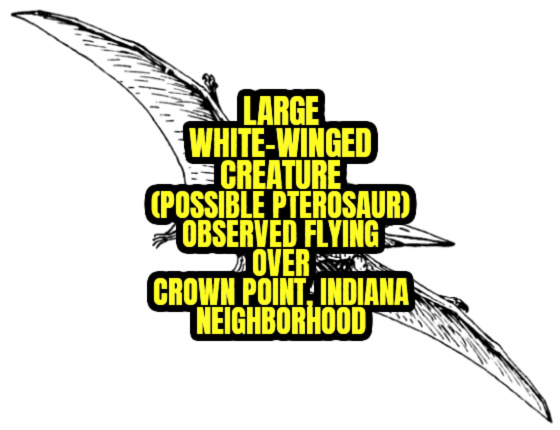 Large White-Winged Creature (Possible Pterosaur) Observed Flying Over Crown Point, Indiana Neighborhood