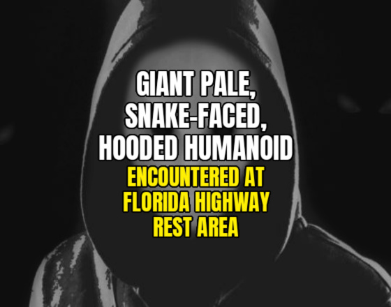 Giant Pale, Snake-Faced, Hooded Humanoid Encountered at Florida Highway Rest Area