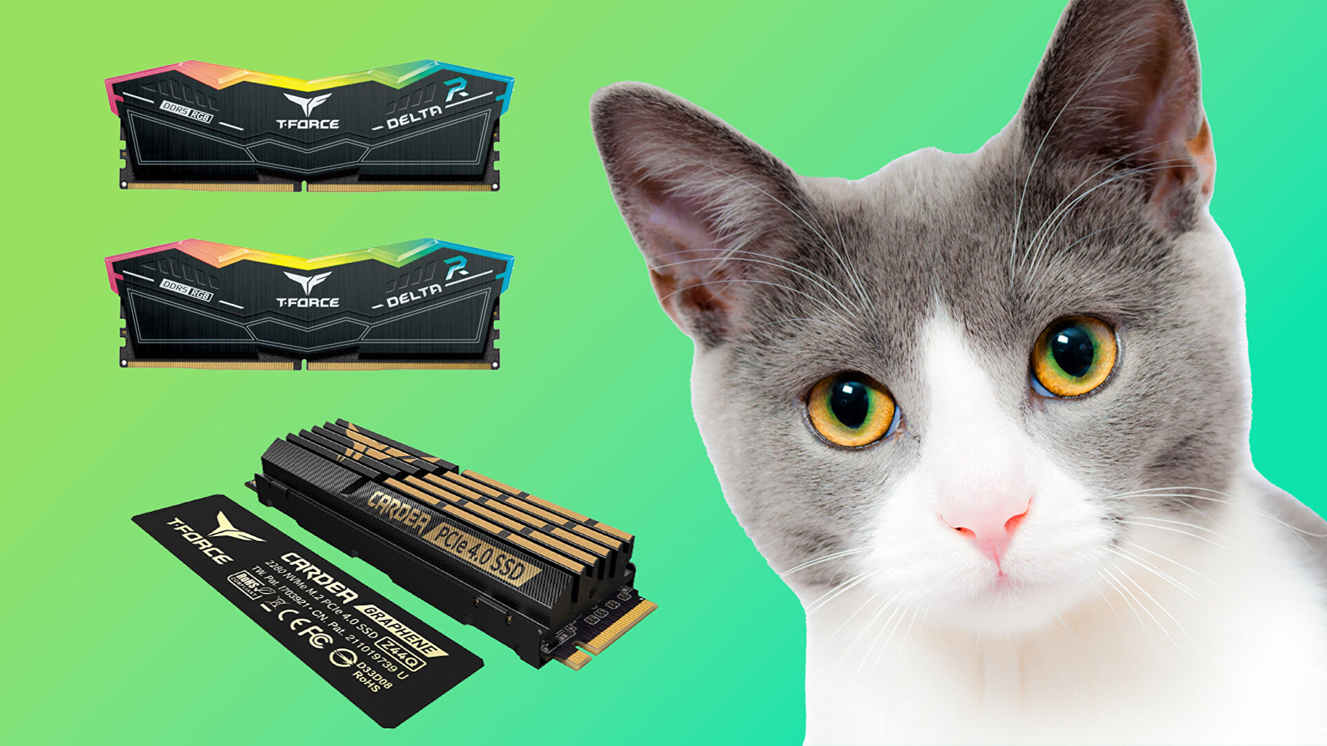 Get 32GB of DDR5-6000 and a 2TB PCIe 4.0 SSD for £235 at CCL
