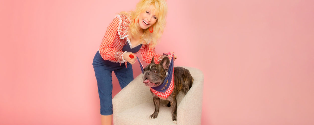 Dolly Parton launches wigs for dogs (and other things to make your pooch look more like her)