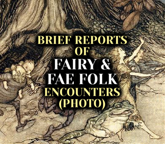 Brief Reports of Fairy & Fae Folk Encounters (PHOTO)