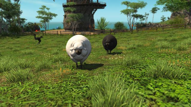 How to find Rare Island Sanctuary Animals in FFXIV