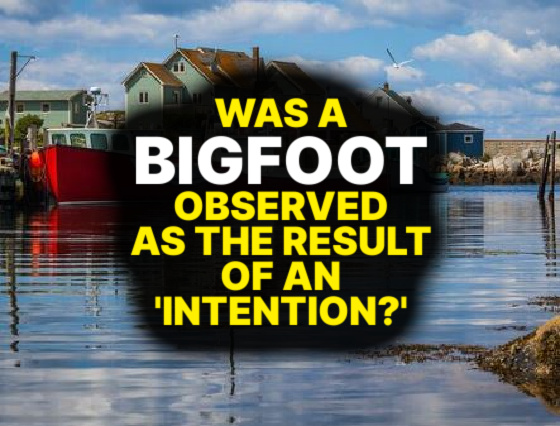 Was a BIGFOOT Observed as the Result of an ‘Intention?’