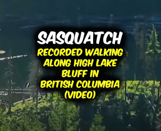 Sasquatch Recorded Walking Along High British Columbia Bluff (VIDEO)