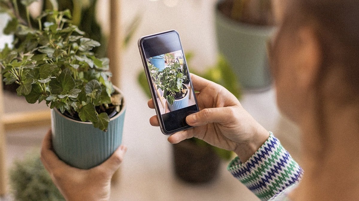 Get to the root of your plants’ health problems with this AI-powered app