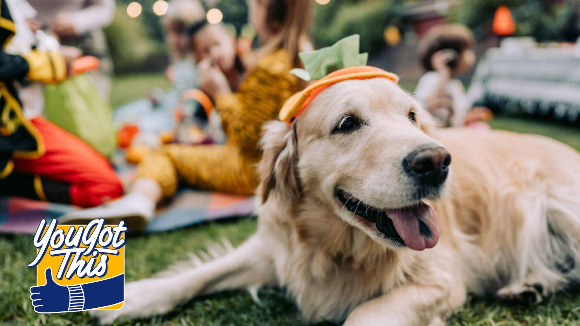 Get Halloween ready with great deals on pet costumes at Walmart