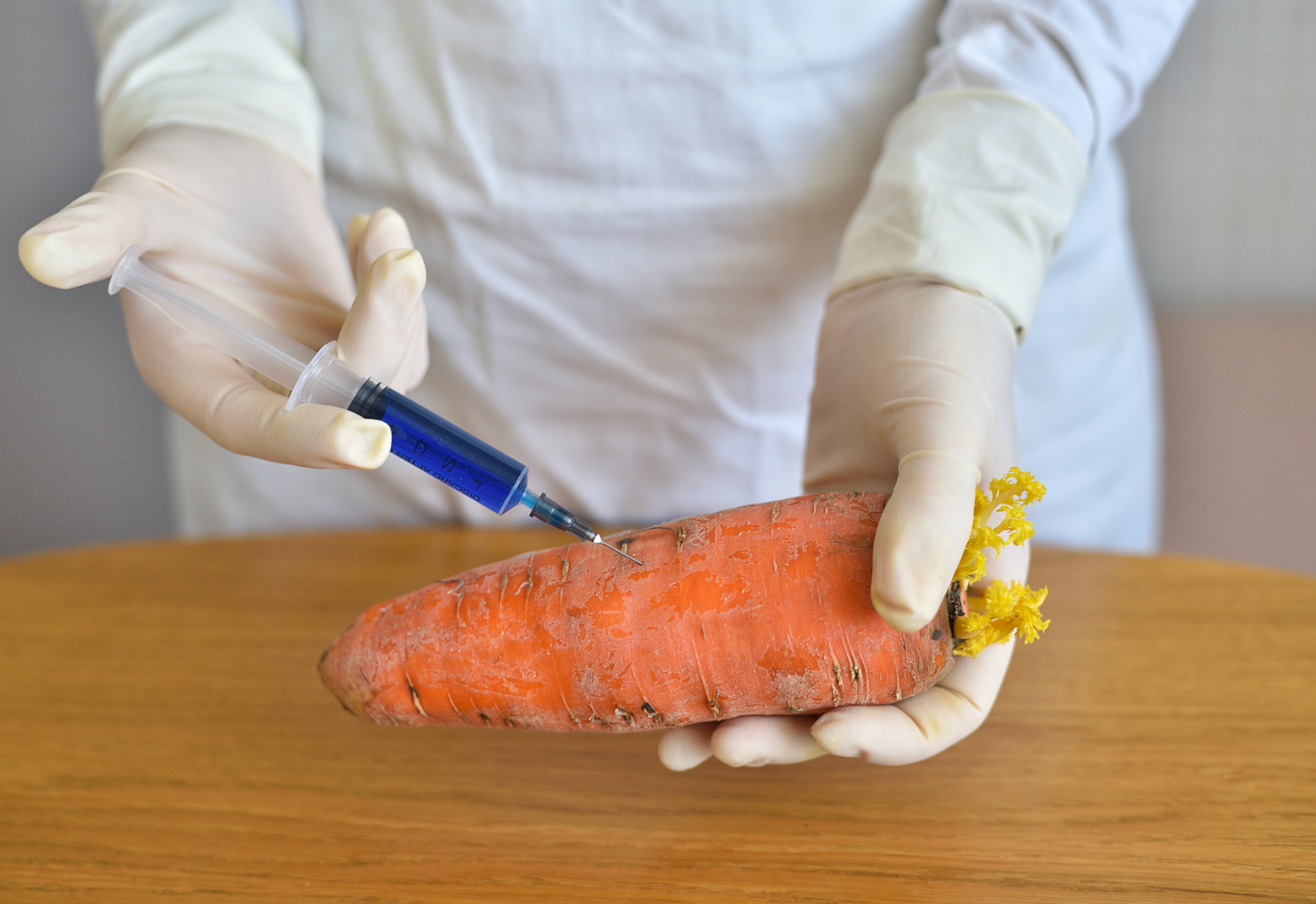 scientist with a syringe in a carrot