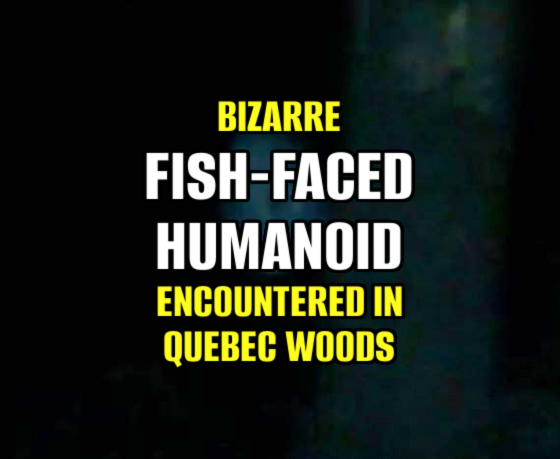 Bizarre ‘Fish-Faced Humanoid’ Encountered in Quebec Woods (VIDEO / PHOTO)