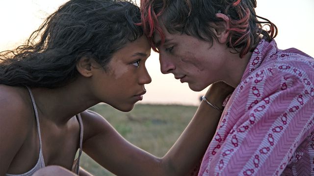A young woman (Taylor Russell) places her forehead against a young man (Timothee Chalamet) with streaks of pink dye in his hair.