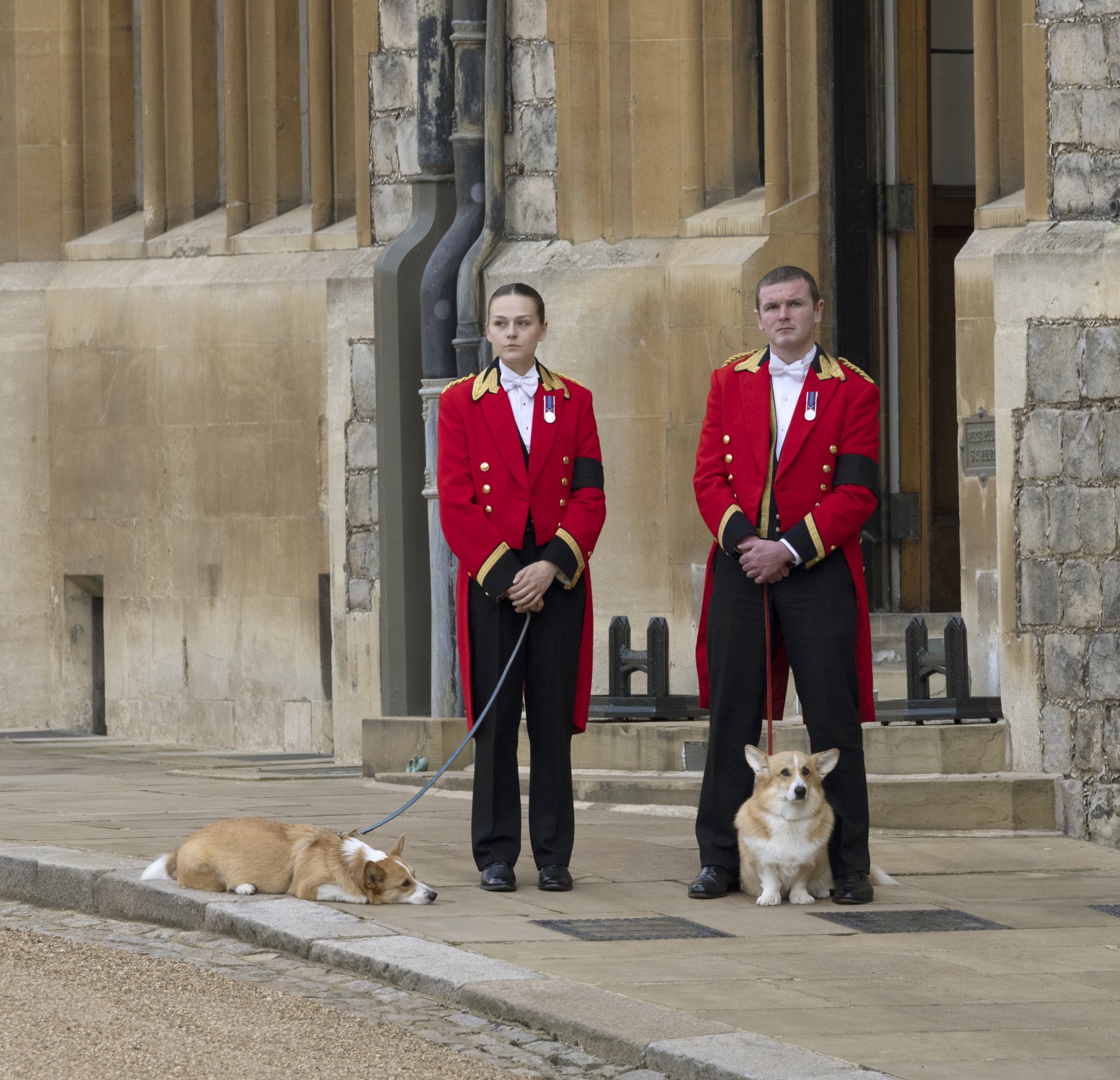 A photo of Queen Elizabeth II's two corgis outside of Windsor Castle awaiting her funeral procession to arrive.