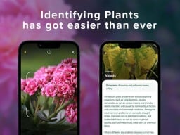NatureID Plant Identification Premium Plan.